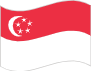 SgFlag